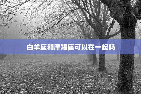 白羊座和摩羯座可以在一起吗