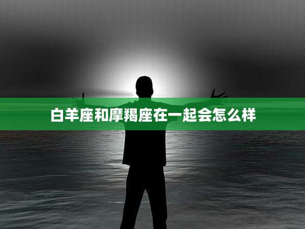 白羊座和摩羯座在一起会怎么样
