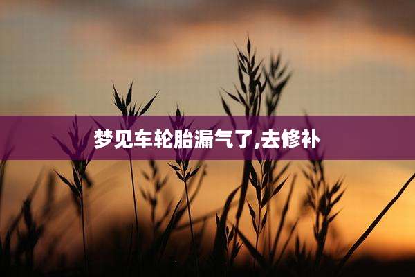 梦见车轮胎漏气了,去修补