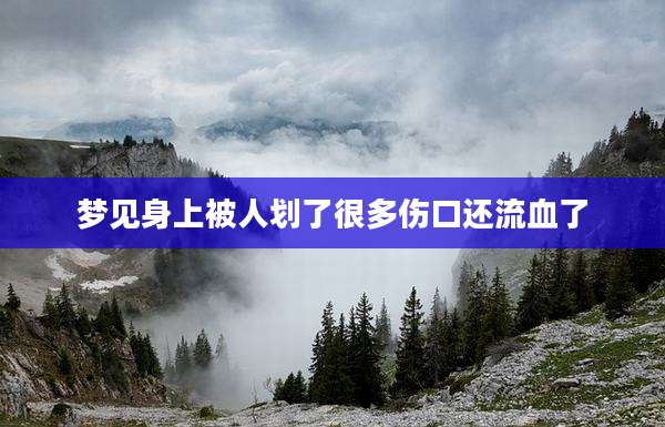 梦见身上被人划了很多伤口还流血了