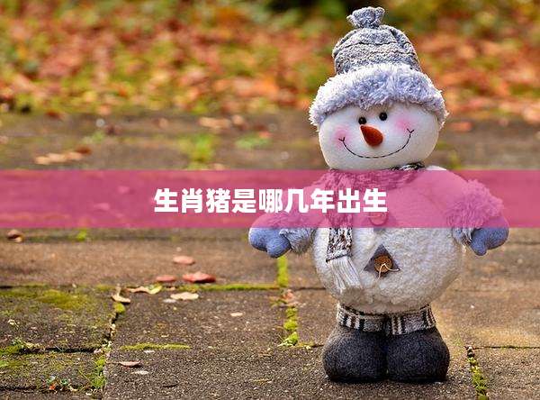 生肖猪是哪几年出生