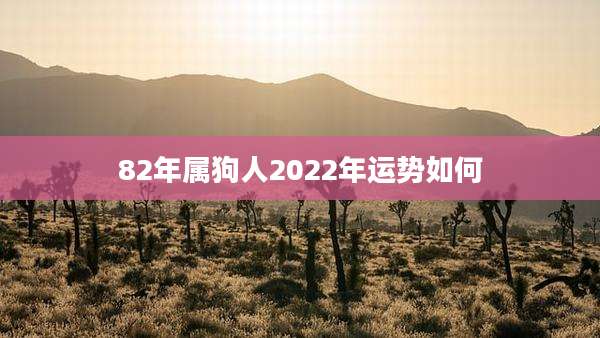 82年属狗人2022年运势如何
