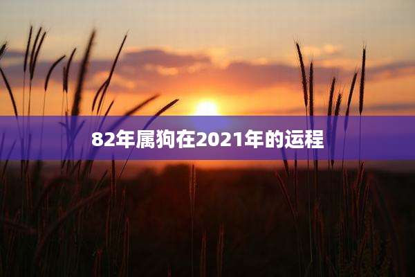 82年属狗在2021年的运程