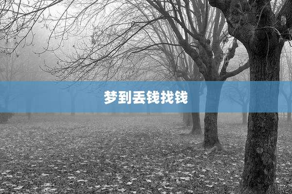 梦到丢钱找钱