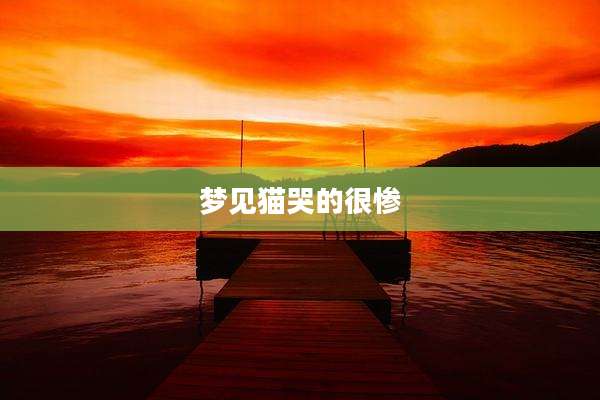 梦见猫哭的很惨