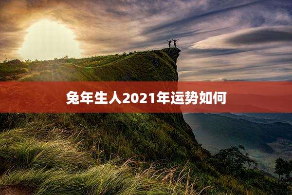 兔年生人2021年运势如何