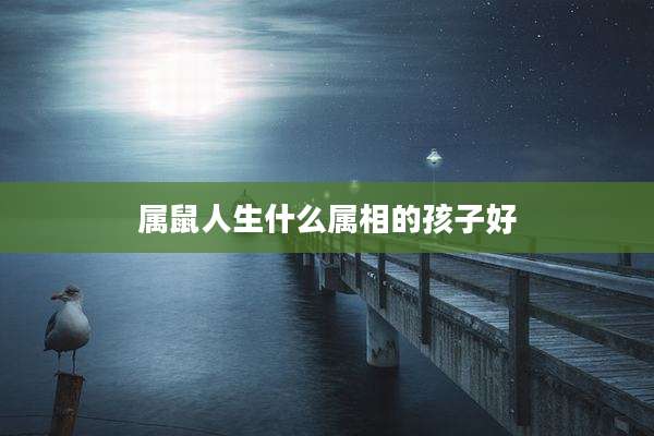 属鼠人生什么属相的孩子好