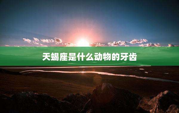 天蝎座是什么动物的牙齿