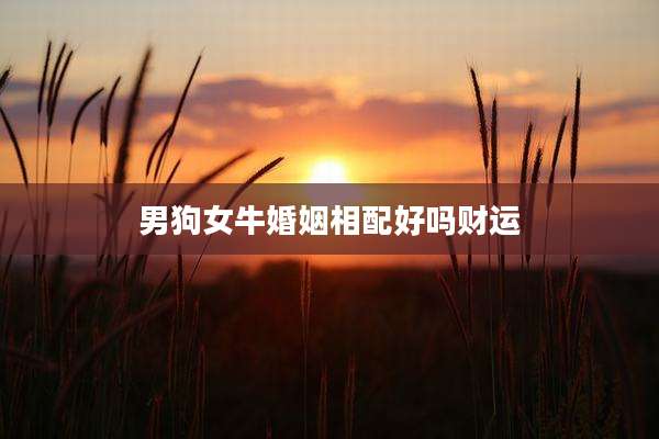 男狗女牛婚姻相配好吗财运