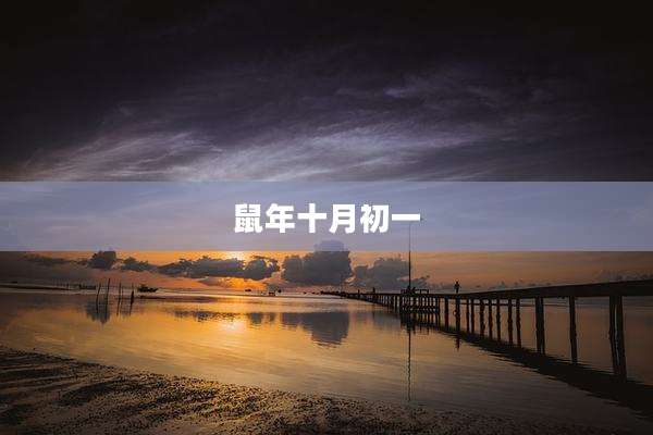 鼠年十月初一