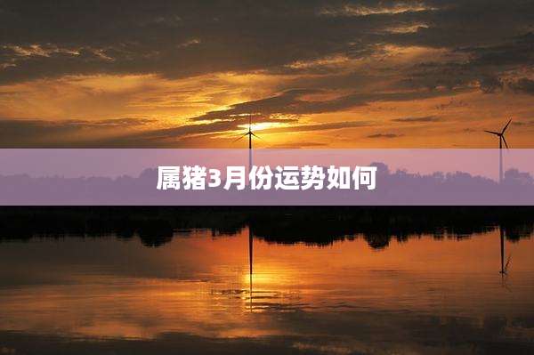 属猪3月份运势如何