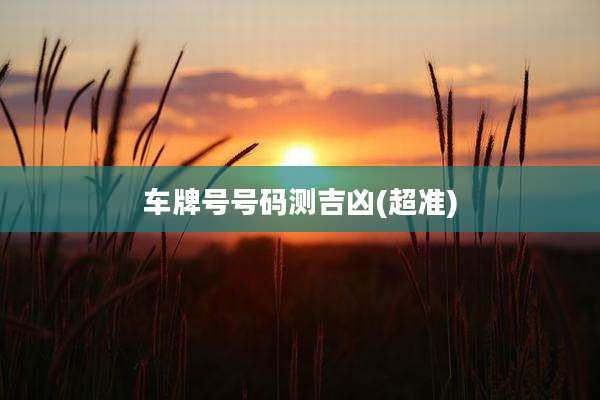 车牌号号码测吉凶(超准)