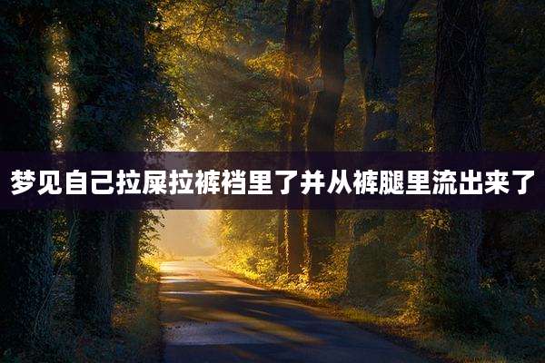 梦见自己拉屎拉裤裆里了并从裤腿里流出来了