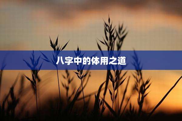 八字中的体用之道