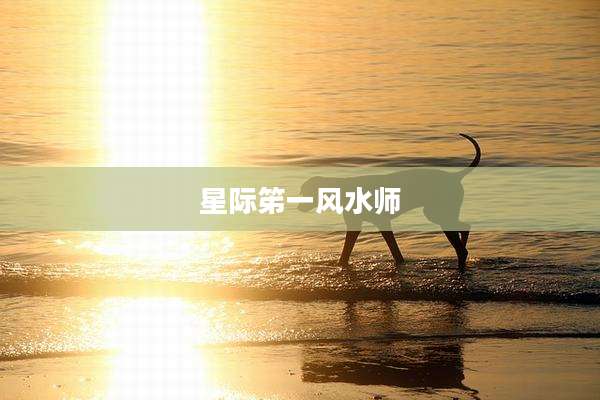 星际笫一风水师