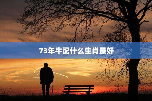 73年牛配什么生肖最好