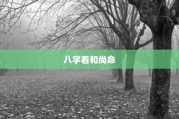 八字看和尚命