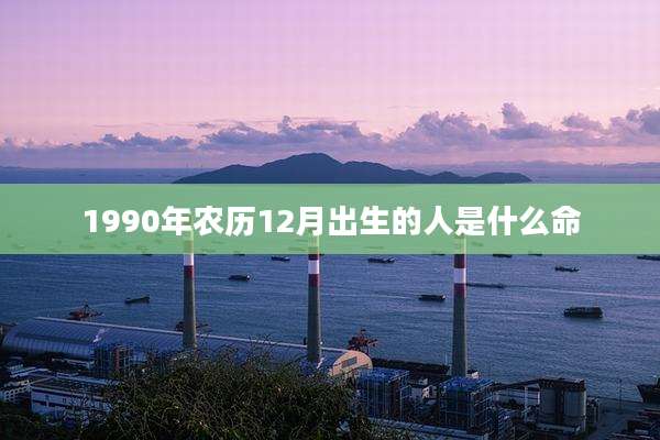 1990年农历12月出生的人是什么命