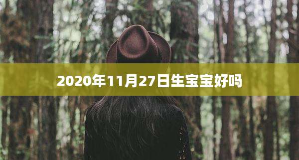 2020年11月27日生宝宝好吗