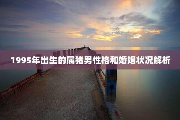1995年出生的属猪男性格和婚姻状况解析