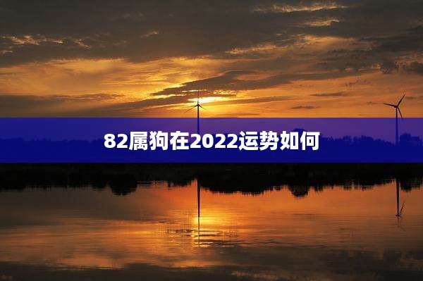 82属狗在2022运势如何