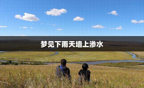 梦见下雨天墙上渗水
