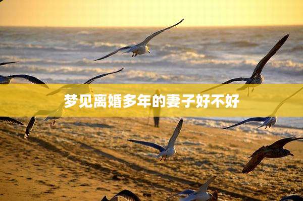 梦见离婚多年的妻子好不好