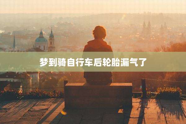 梦到骑自行车后轮胎漏气了