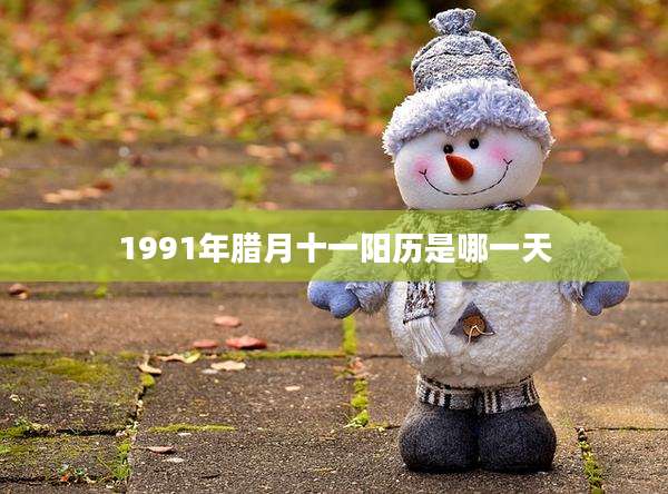 1991年腊月十一阳历是哪一天