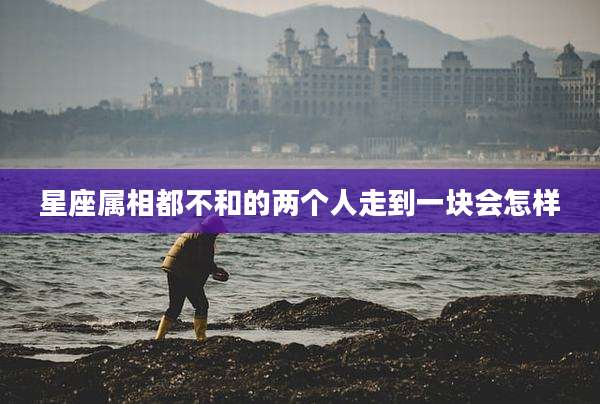 星座属相都不和的两个人走到一块会怎样