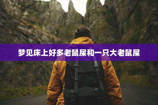 梦见床上好多老鼠屎和一只大老鼠屎
