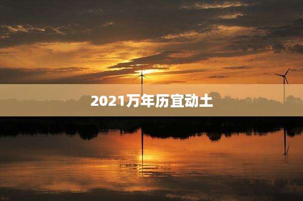 2021万年历宜动土