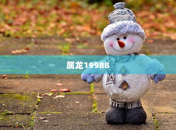 属龙19988