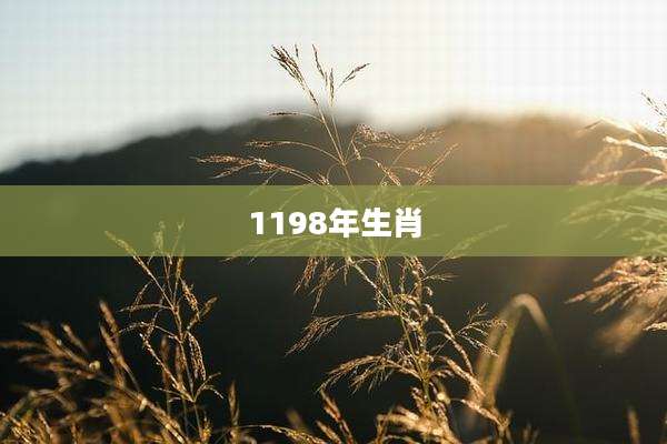 1198年生肖