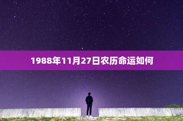 1988年11月27日农历命运如何