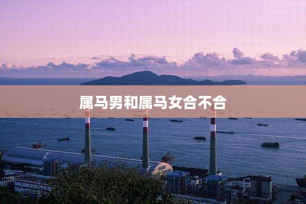 属马男和属马女合不合
