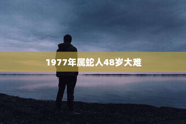 1977年属蛇人48岁大难