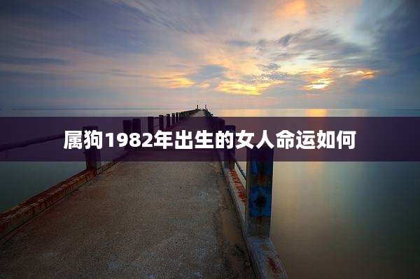 属狗1982年出生的女人命运如何