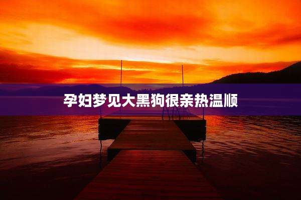 孕妇梦见大黑狗很亲热温顺