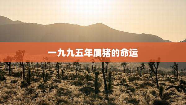 一九九五年属猪的命运