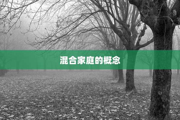 混合家庭的概念