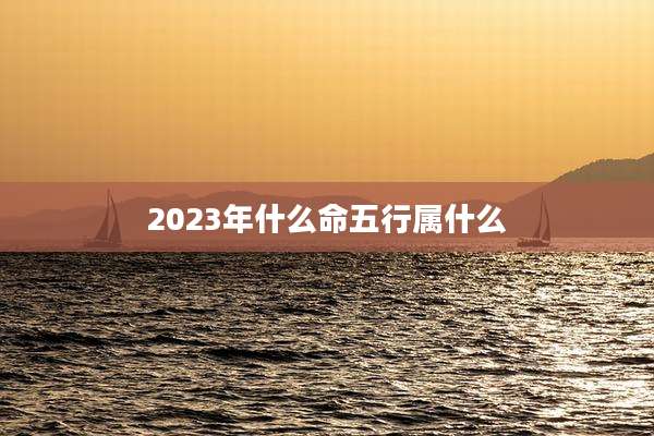 2023年什么命五行属什么
