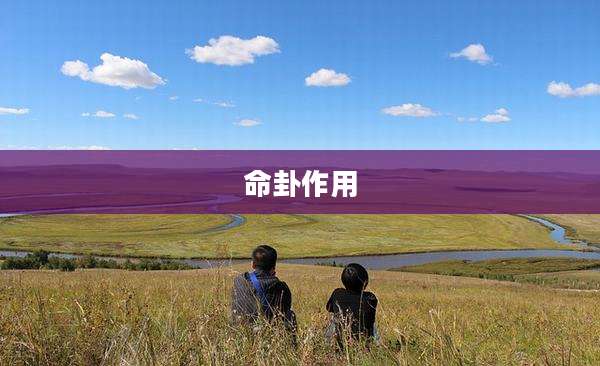 命卦作用