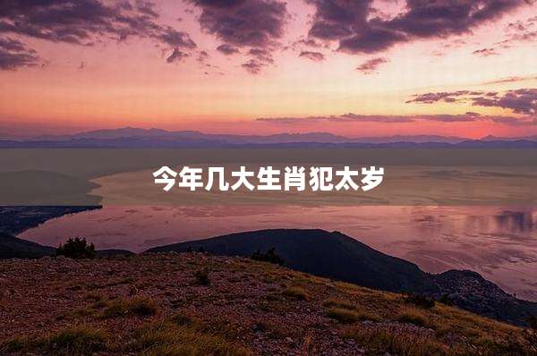今年几大生肖犯太岁