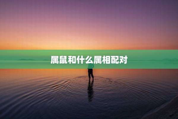 属鼠和什么属相配对