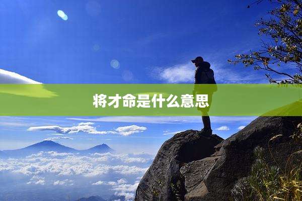 将才命是什么意思