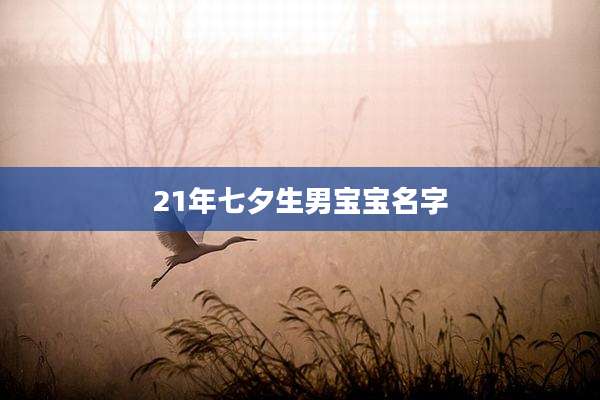 21年七夕生男宝宝名字