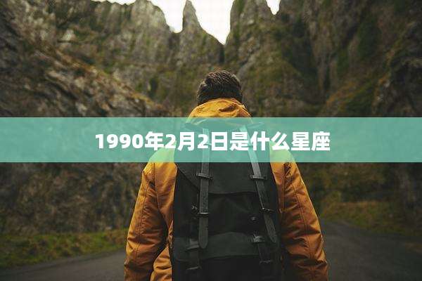 1990年2月2日是什么星座