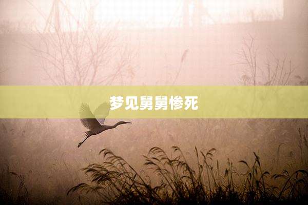 梦见舅舅惨死