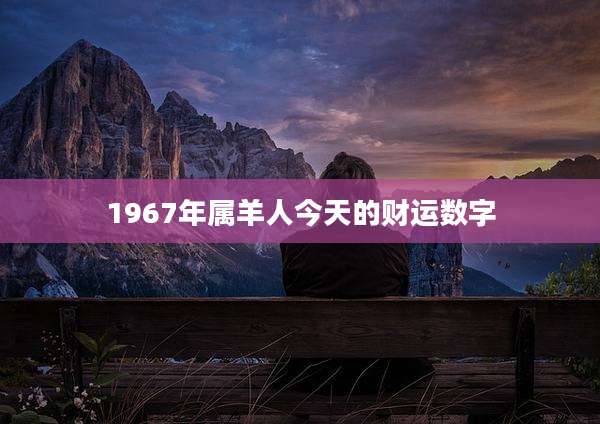 1967年属羊人今天的财运数字
